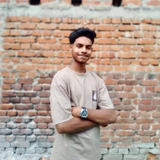 Dilkash_ansari_4