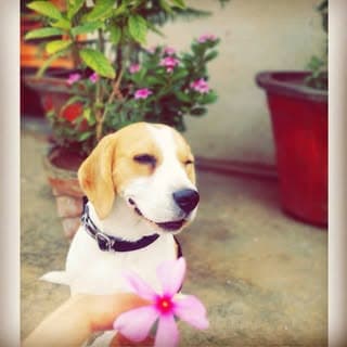 coco🐾💜