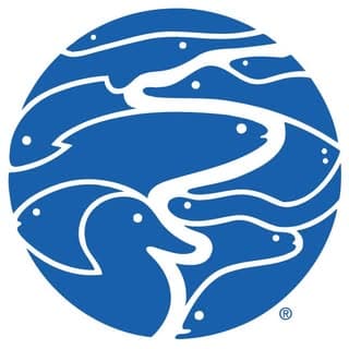 Tennessee Aquarium