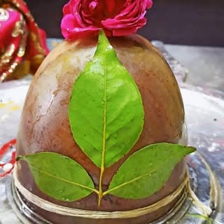 🕉️Tripolia Mahadav daily darsan 🕉️