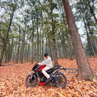 Abishek Tamang