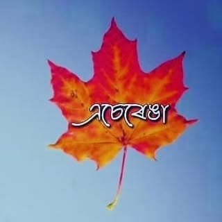 🍁এচেৰেঙা_ছন্দহীন_আৱেগ🍁