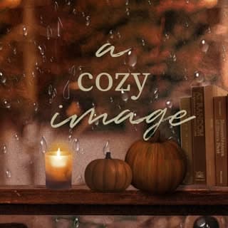a cozy image
