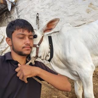 Madan Tholiya