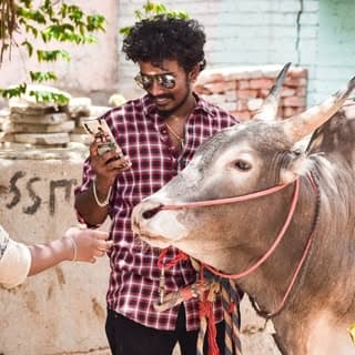 Arun Koya Yadav