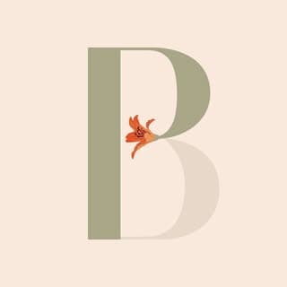 Project Bandi