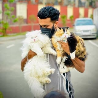 ThE CaT MaN