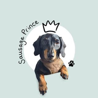 The Sausage Prince