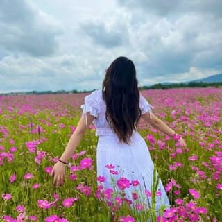 Farhana Tours