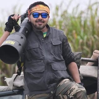 Sudipta Saha | Bird | Wildlife