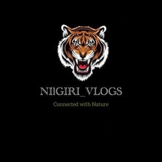 Nilgiri_vlogs