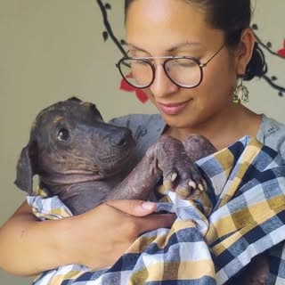 Susheela | Street Dog Love & Care