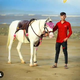 Vijay Bhaliya