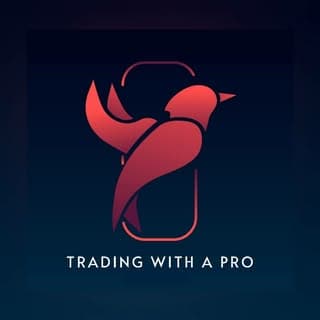 TRADING WITH A PRO
