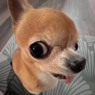 ๐|| ๐๐๐๐๐๐ ๐๐๐๐๐ ||๐