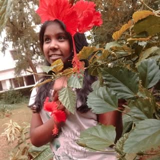 PrakritikInfo