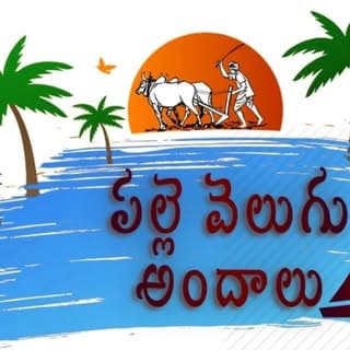 పల్లె _వెలుగు_ అందాలు??????️??