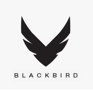 editing_blackbird