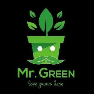 Mr.GREEN