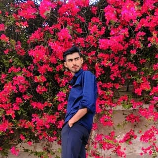 Faisal Ali