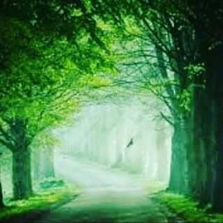 𝓘𝓷_𝓼𝓮𝓪𝓻𝓬𝓱_𝓸𝓯_𝓭𝓮𝓼𝓽𝓲𝓷𝔂..🌍